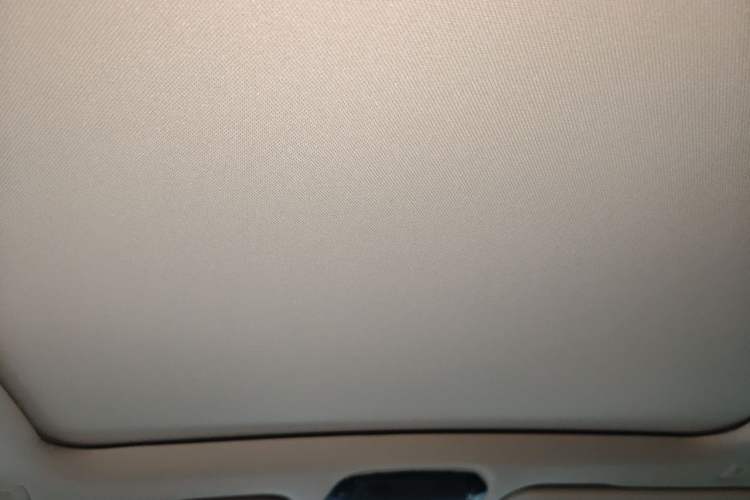 Used BMW X5 2022 xDrive 30Li Luxury M Sport Package Headliner