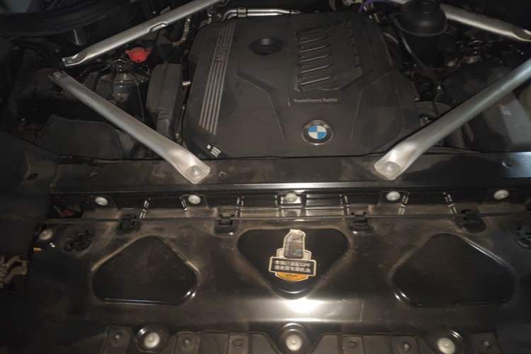 Used BMW X5 2022 xDrive 40Li Luxury Edition M Sport Package Engine Bay