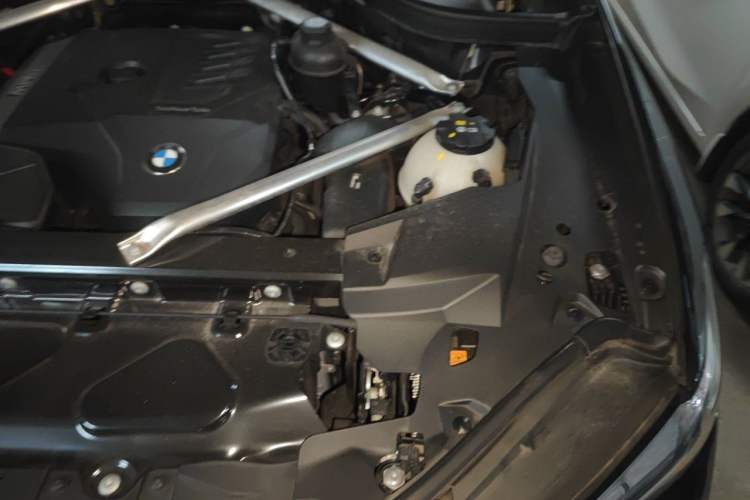 Used BMW X5 2022 xDrive 30Li Luxury M Sport Package Engine Bay Left