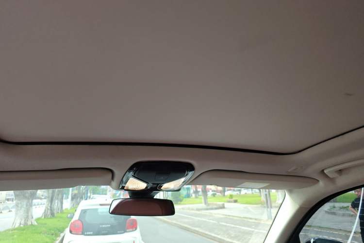 Used BMW X5 2022 xDrive 30Li Luxury M Sport Package Headliner