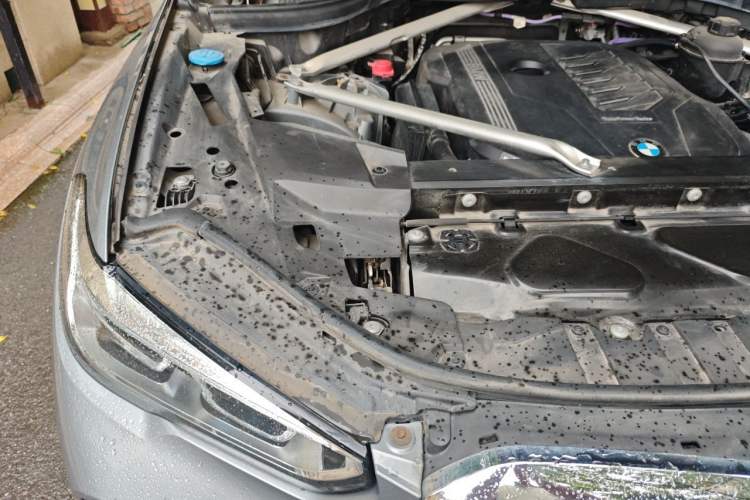 Used BMW X5 2022 xDrive 40Li M Sport Package Engine Bay Right