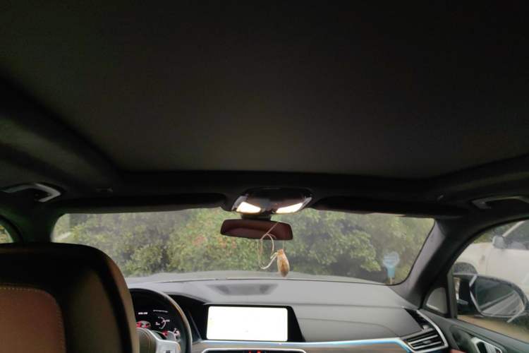 Used BMW X5 2022 Restyled xDrive 40Li M Sport Package Headliner