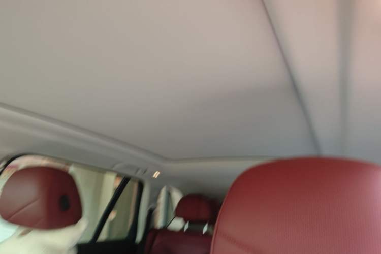 Used BMW X5 2022 xDrive 30Li M Sport Package Headliner