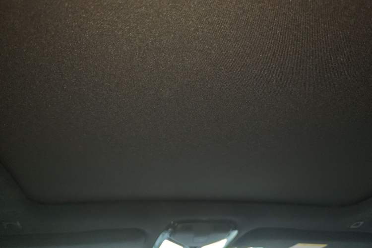 Used BMW X5 2022 xDrive 40Li M Sport Package Headliner