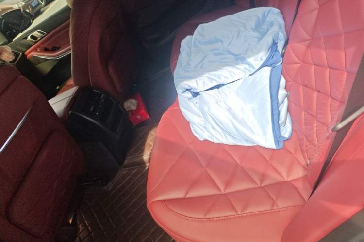 Used BMW X5 2022 xDrive 30Li M Sport Package Left Rear Seat