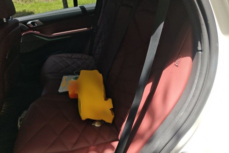 Used BMW X5 2022 xDrive 40Li M Sport Package Left Rear Seat