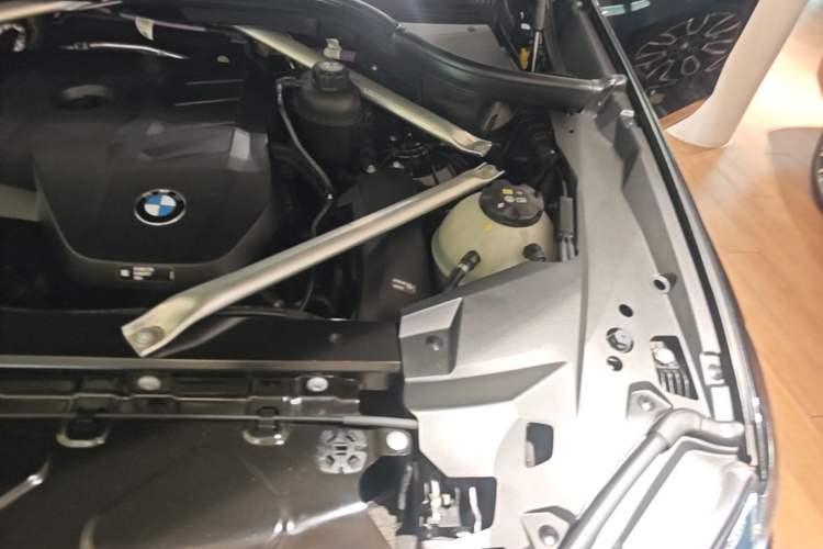 Used BMW X5 2023 xDrive 30Li Luxury M Sport Package Engine Bay Left