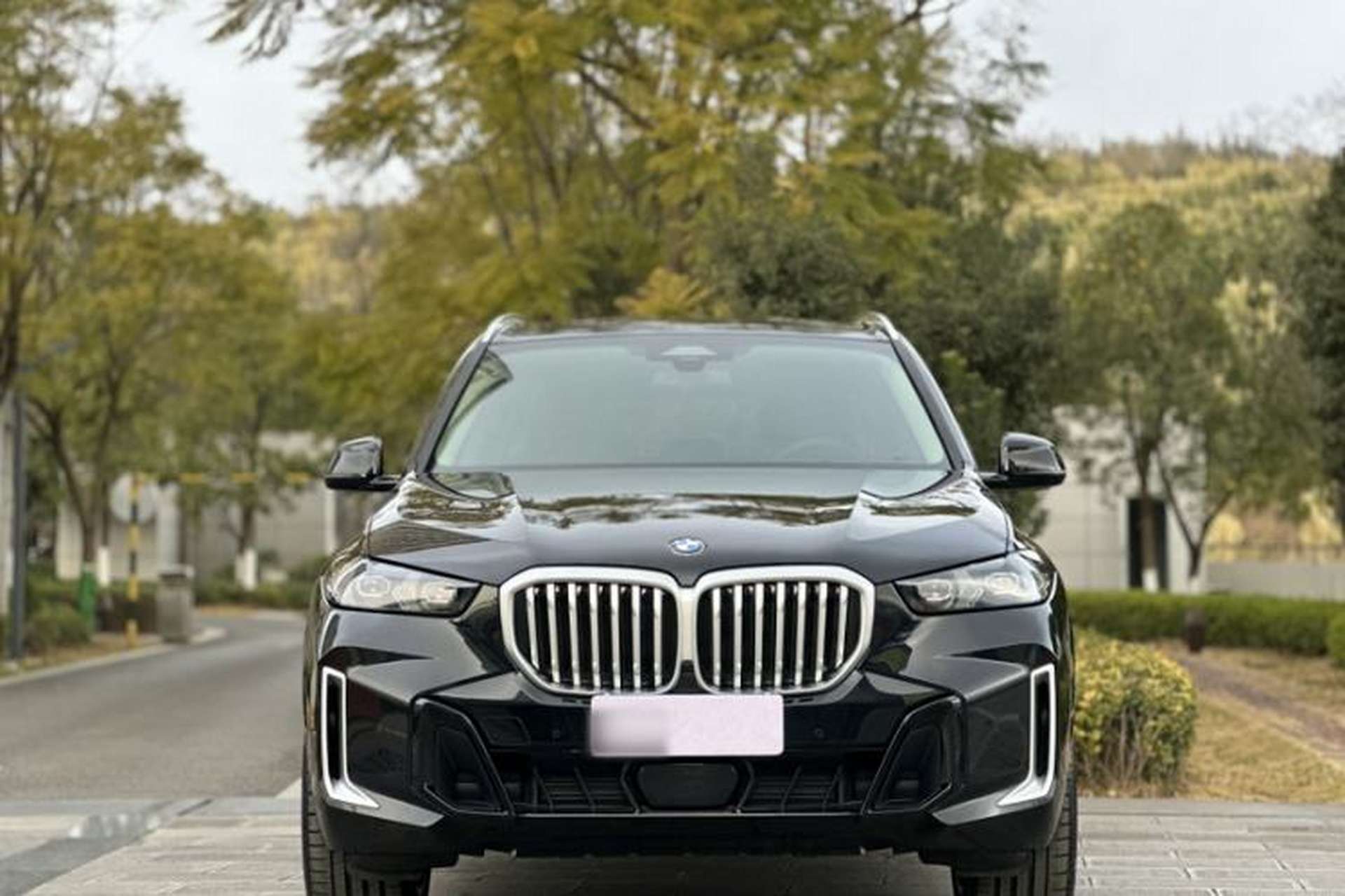 Used BMW X5 2023 xDrive 30Li Luxury M Sport Package Exterior 3