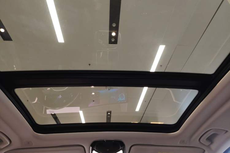 Used BMW X5 2023 xDrive 30Li Luxury M Sport Package Headliner