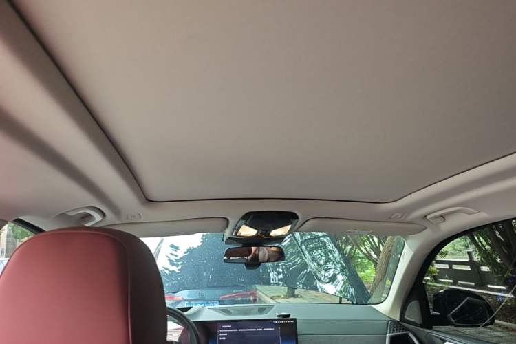 Used BMW X5 2023 xDrive 30Li Luxury M Sport Package Headliner