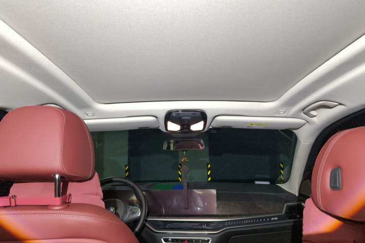 Used BMW X5 2023 xDrive 30Li Luxury M Sport Package Headliner