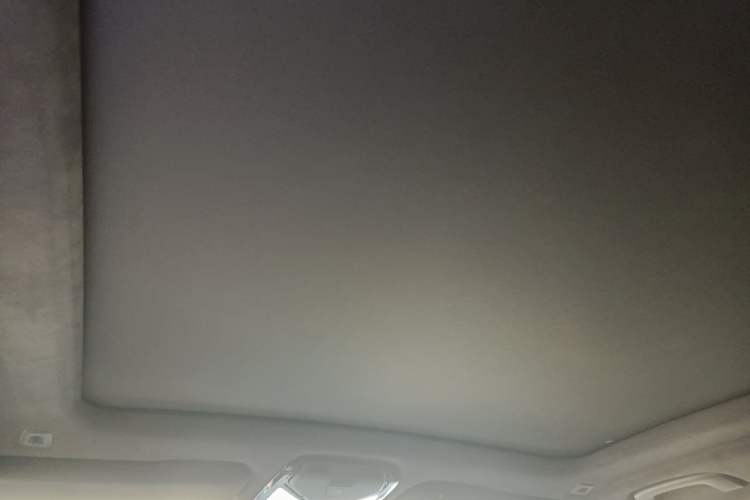 Used BMW X5 2023 xDrive 40Li M Sport Package Headliner