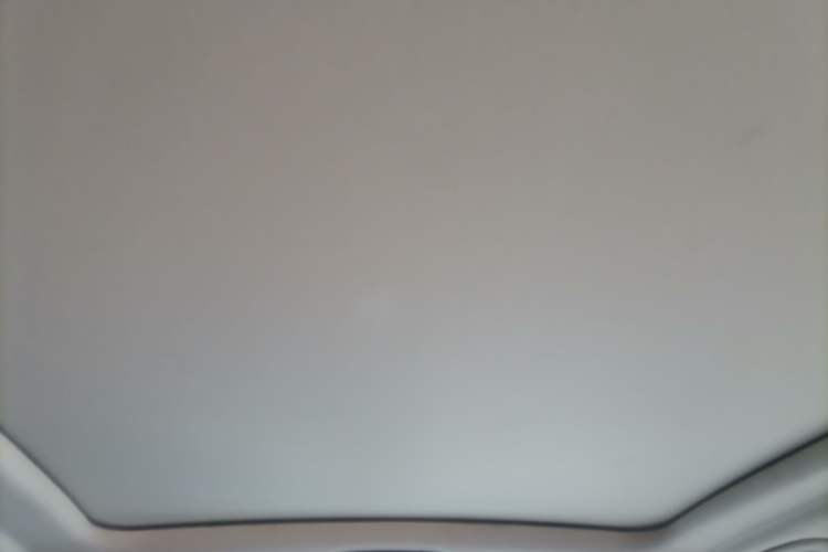 Used BMW X5 2023 xDrive 30Li Luxury M Sport Package Headliner