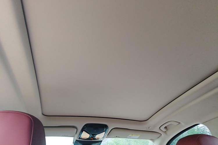 Used BMW X5 2023 xDrive 30Li Luxury M Sport Package Headliner