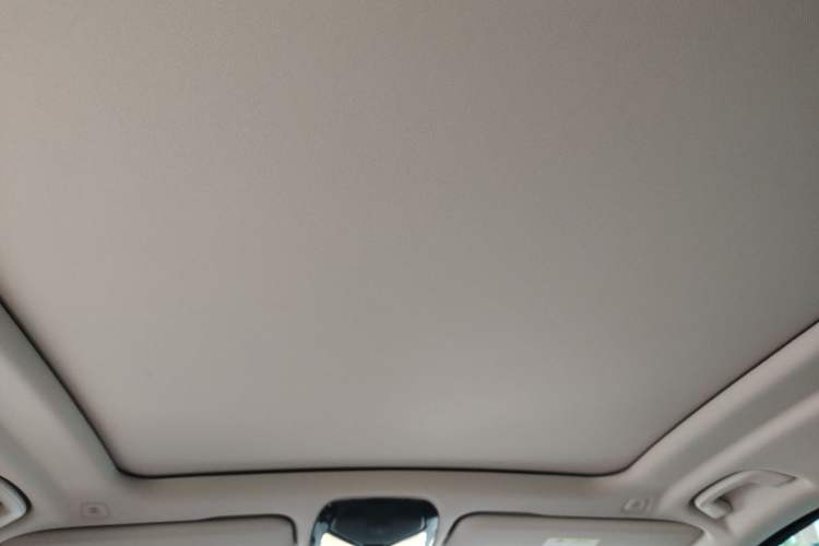 Used BMW X5 2023 xDrive 30Li Luxury M Sport Night Edition Package Headliner