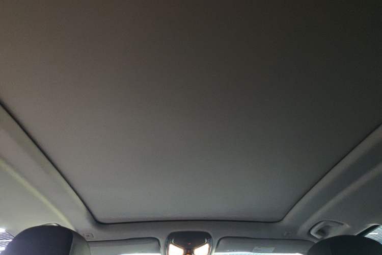 Used BMW X5 2023 xDrive 30Li Luxury M Sport Night Edition Package Headliner