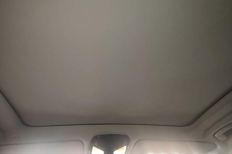 Used BMW X5 2023 xDrive 30Li Luxury M Sport Night Edition Package Headliner