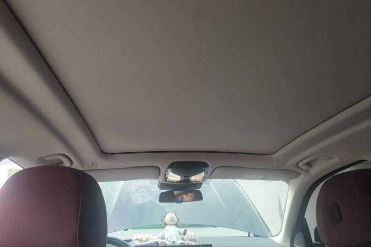 Used BMW X5 2023 xDrive 30Li Luxury M Sport Package Headliner