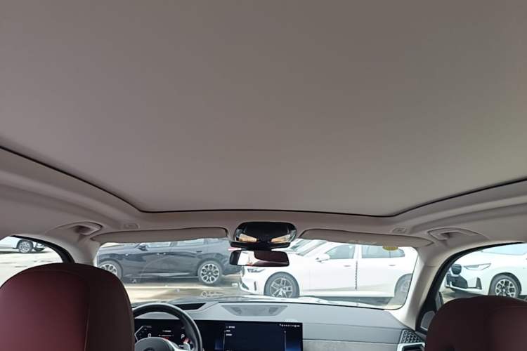 Used BMW X5 2023 xDrive 30Li Luxury M Sport Package Headliner