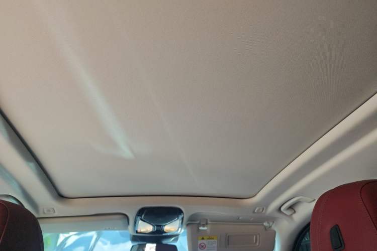 Used BMW X5 2023 xDrive 30Li Luxury M Sport Package Headliner