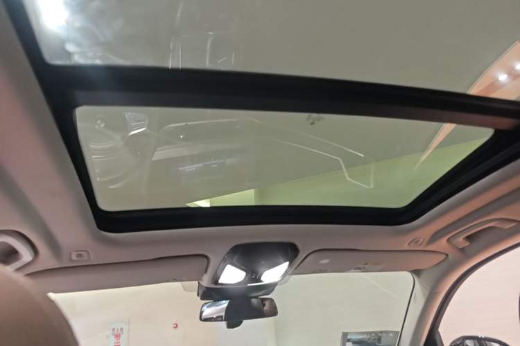 Used BMW X5 2023 xDrive 30Li Luxury M Sport Package Headliner