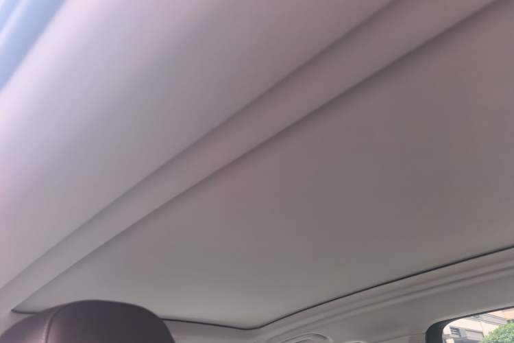 Used BMW X5 2023 xDrive 30Li Luxury M Sport Night Edition Package Headliner