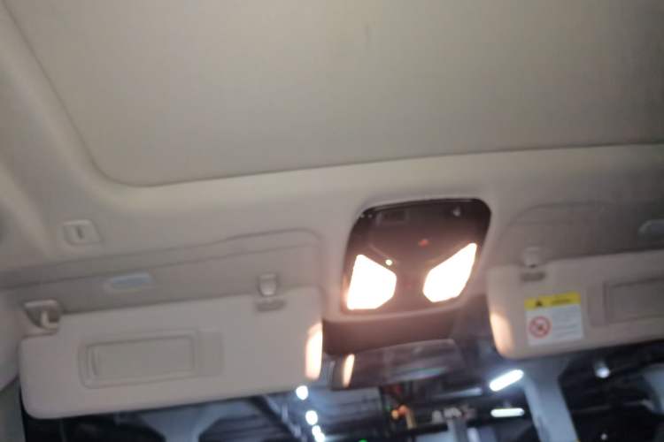 Used BMW X5 2023 xDrive 30Li Luxury M Sport Package Headliner