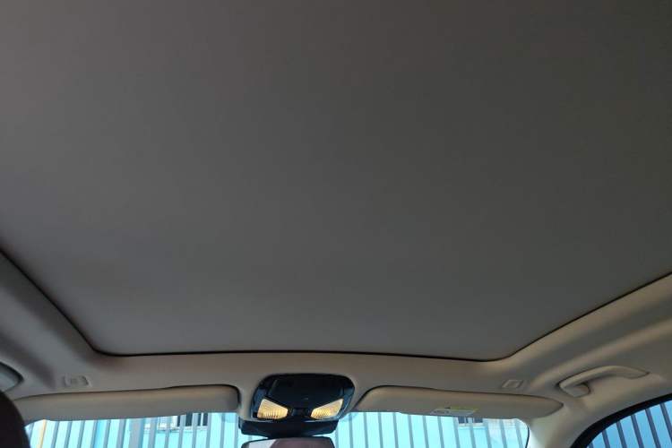 Used BMW X5 2023 xDrive 30Li Luxury M Sport Package Headliner