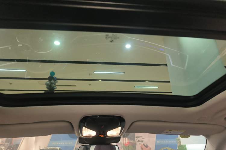 Used BMW X5 2023 xDrive 30Li Luxury M Sport Night Edition Package Headliner