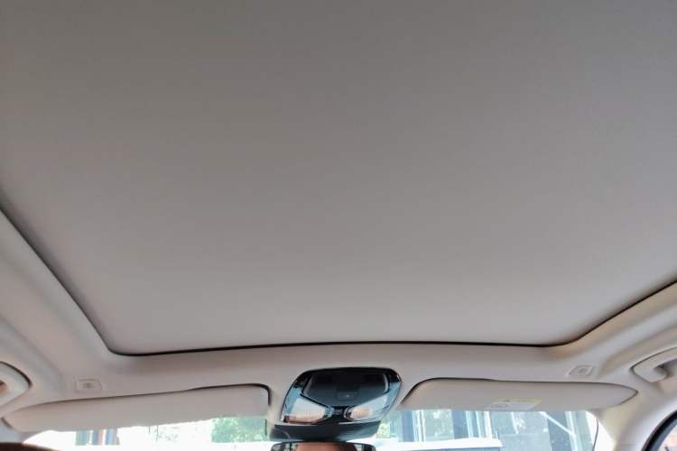 Used BMW X5 2023 xDrive 30Li Luxury M Sport Package Headliner