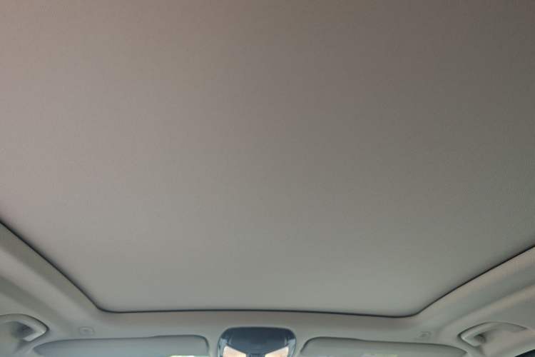 Used BMW X5 2023 xDrive 30Li Luxury M Sport Night Edition Package Headliner