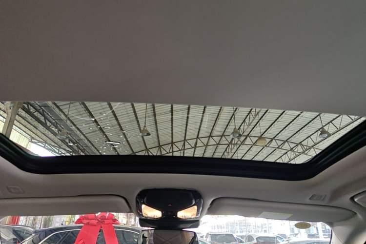 Used BMW X5 2023 xDrive 30Li Luxury M Sport Package Headliner