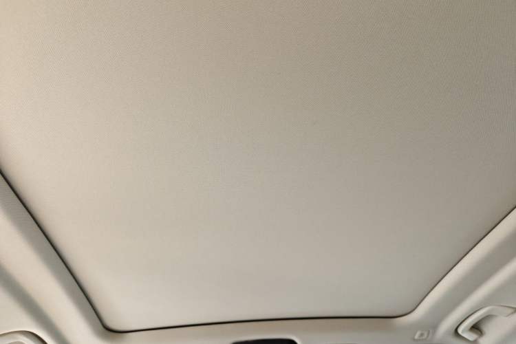 Used BMW X5 2023 xDrive 30Li Luxury M Sport Package Headliner
