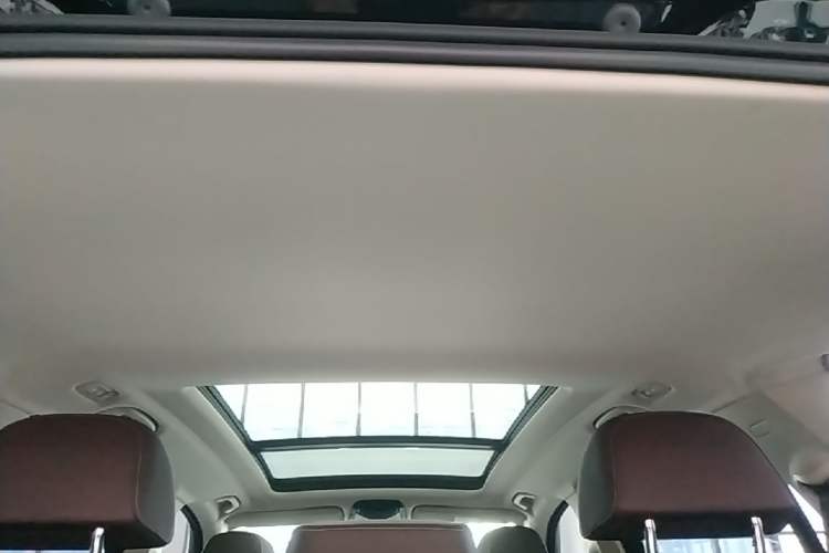 Used BMW X5 2023 xDrive 30Li Luxury M Sport Package Headliner