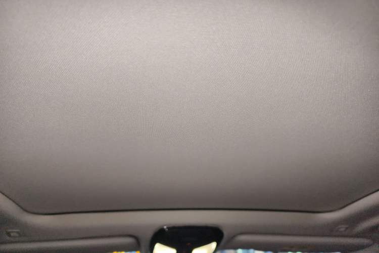 Used BMW X5 2023 xDrive 30Li Luxury M Sport Package Headliner