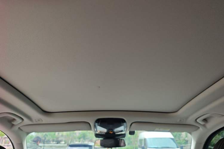 Used BMW X5 2023 xDrive 30Li Luxury M Sport Package Headliner