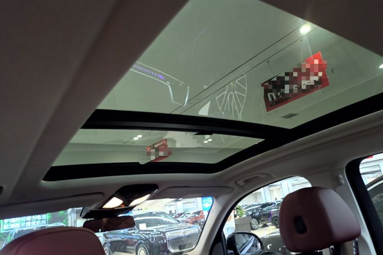 Used BMW X5 2023 xDrive 30Li Luxury M Sport Night Edition Package Headliner