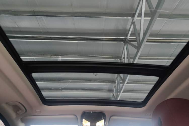 Used BMW X5 2023 xDrive 30Li Luxury M Sport Package Headliner