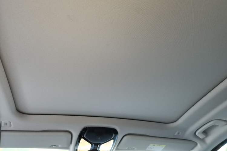 Used BMW X5 2023 xDrive 30Li Luxury M Sport Package Headliner