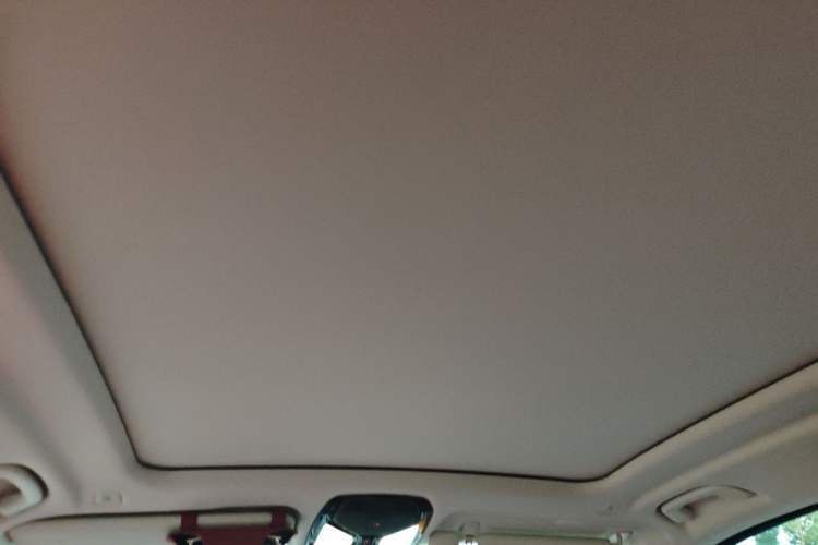 Used BMW X5 2023 xDrive 30Li Luxury M Sport Night Edition Package Headliner