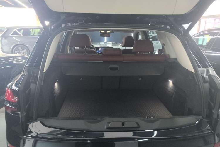 Used BMW X5 2023 xDrive 30Li Luxury M Sport Night Edition Package Trunk