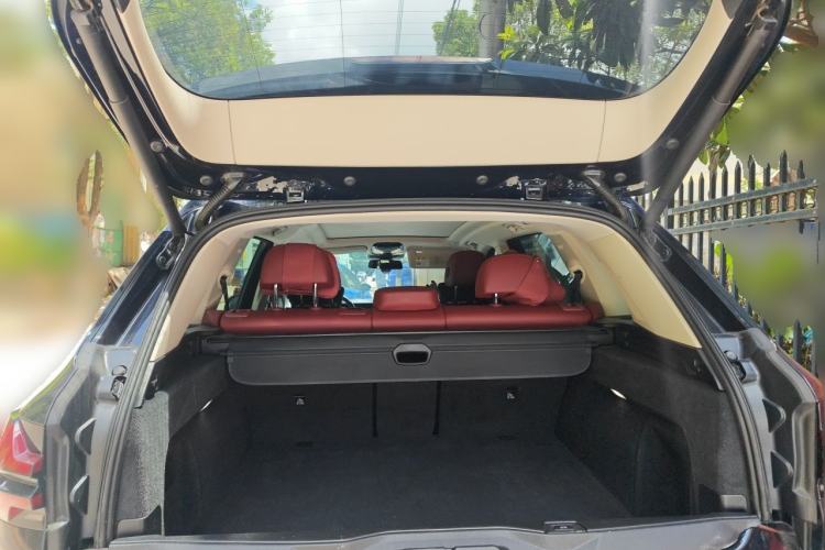Used BMW X5 2023 xDrive 30Li Luxury M Sport Package Trunk
