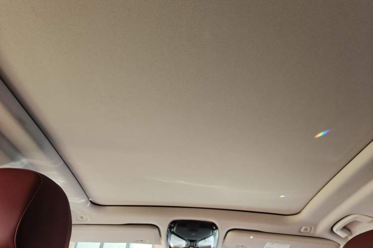 Used BMW X5 2023 xDrive 30Li Luxury M Sport Night Edition Package Headliner