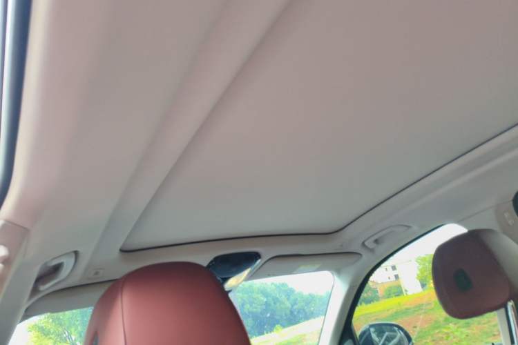 Used BMW X5 2023 xDrive 30Li Luxury M Sport Night Edition Package Headliner