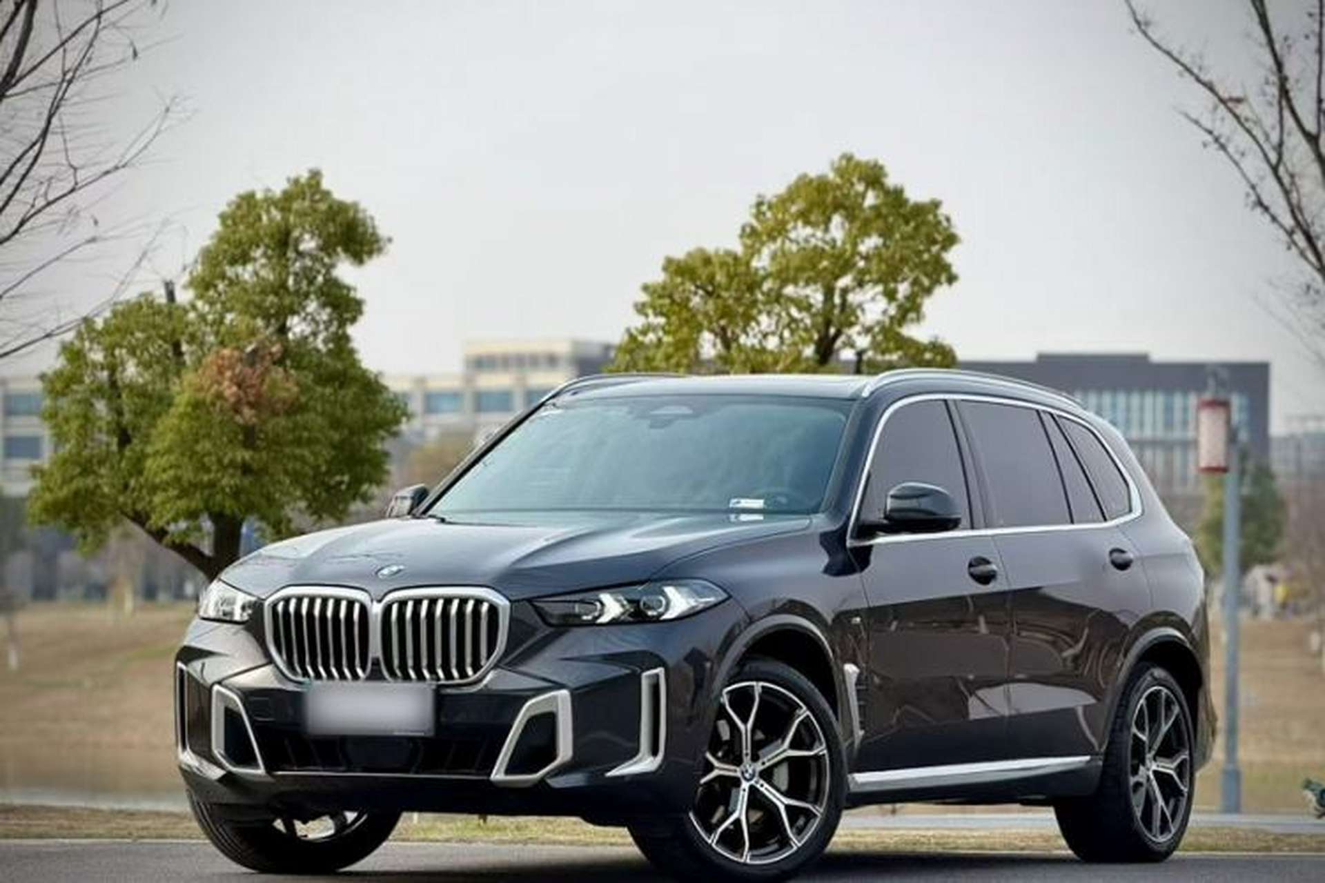 Used BMW X5 2023 xDrive 30Li Luxury M Sport Package Exterior 5