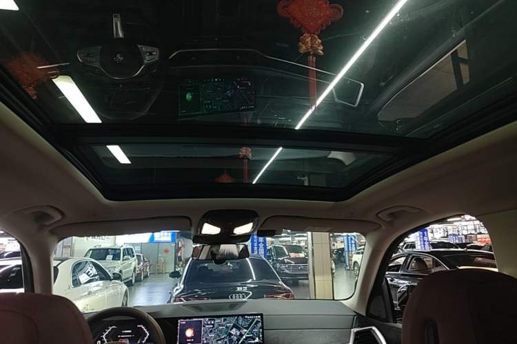 Used BMW X5 2023 xDrive 30Li M Sport Package Headliner