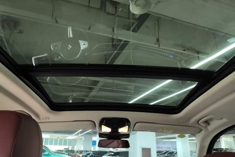 Used BMW X5 2023 xDrive 30Li Luxury M Sport Package Headliner