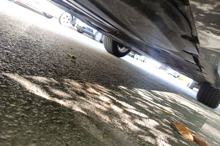 Used BMW X5 2023 xDrive 30Li M Sport Package Chassis Rear Right