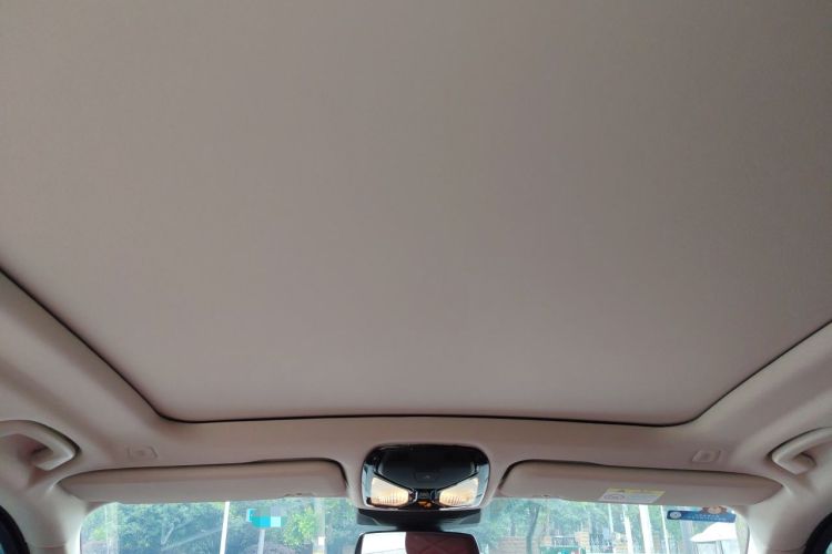 Used BMW X5 2023 xDrive 30Li M Sport Package Headliner