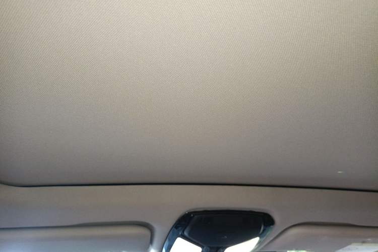 Used BMW X5 2023 xDrive 30Li M Sport Package Headliner
